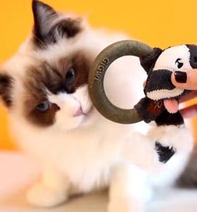 GiGwi Catch & Scratch - Cat Toy with Silvervine Ring
