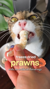 SEAFOODBUDDY_MY Freeze-Dried Prawn | High Protein for Strong Muscles & Energy | Irresistible Taste | Cat & Dog