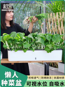 Automatic Watering Rectangle Plastic Plant Pots for Balcony Vegetable Gardening Lazy Person Flower Pots Drainage Breathable