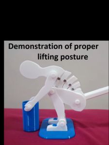 Lifting Manikin Demonstration Figure Correct Spine Posture Weight Technique Spinal Health