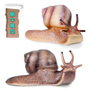 Solid Plastic Snail Model Realistic Insect Animal Toy Small Snail Set Cognitive Gifts Decorations for Children Static Model