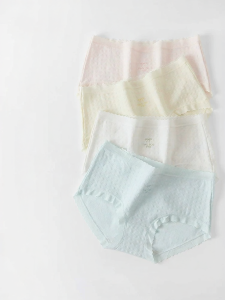 SANFU | Antibacterial Seamless Cotton Crotch Underwear