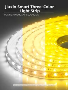 jiuxin lighting | Ultra-bright RGB Waterproof Flexible Smart Control Led Light Strip 220V