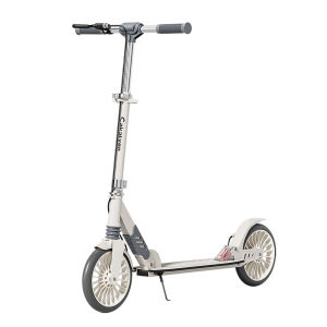 Cakalyen | Folding 2-Wheel Scooter