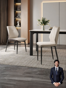 Sleek Modern Small Space Dining Chair