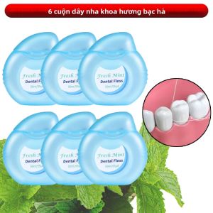 Bộ Dụng Cụ Làm Sạch Răng Bằng Chỉ Nha Khoa Bạc Hà 6 Cái/3 Cái/1 Cái Bộ Que Chỉ Nha Khoa Dành Cho Người Lớn Chăm Sóc Răng Miệng Tại Nhà