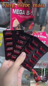 B12 - MEGA dinh dưỡng dành cho gà đá 1 VỈ 10 VIÊN.thuoc nuoi ga.tăng nươc mau.hừng gà