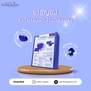 ชาอัญชัน ออร์แกนิก ("Organic Butterfly Pea Tea from Baan Don Muang Farm")