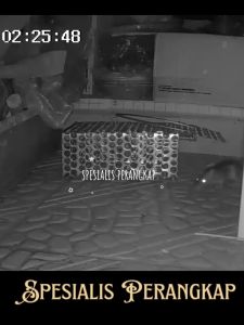 SUPER MURAH! Perangkap Tikus Besi | uk. Kecil : Super Efisien