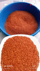 Gạo Lứt Đỏ Huyết Rồng – Nông Sản Vườn Quê - Gạo Lứt Ăn Kiêng Dinh Dưỡng Cao Hỗ Trợ Tiểu Đường Cho Tim Mạch