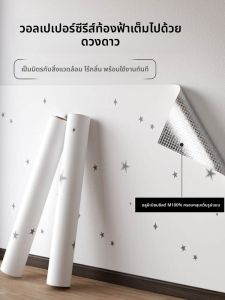 COLOR BLOCK PARTY | Self-adhesive Waterproof Moisture-proof Oil-resistant Wall Decals for Dorm Room Desk Bookshelf Door
