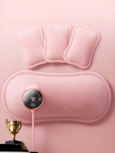 Smart Temperature Control Explosion-Proof Warm Bag