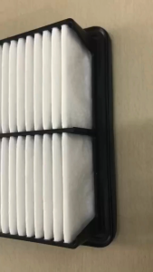 Hyundai Grand Starex 2008 Air Filter with Cardboard Box Packaging