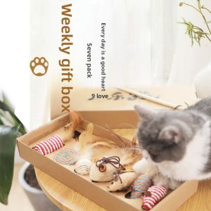 HOOPET | Feather Interactive Self-entertaining Kitten Teaser Wand & Teething Stick Set