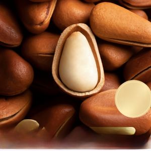 Wild Northeastern Pine Nuts Non-Premium Large Size Open-Kernel Pine Seeds Snacks from Nanjing Jiangsu Province in Mainland China