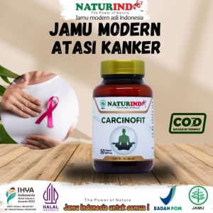 Obat Kanker Dan Tumor Benjolan Payudara Serviks Herbal Carcinofit Naturindo
