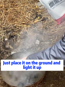 ✨Viral fumigation✨Disinfectant for piggery 500g Prevent ASF Full‑penetrating Smoke