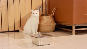 Petscaso 4L Smart Pet Water Fountain - Stainless Steel App Control Low Water Reminders