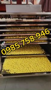 Tủ sấy thực phẩm hoa quả 10 khay hàng Việt Nam