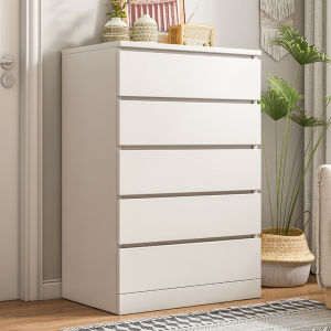 Large Capacity Storage Cabinet with 5 Drawers