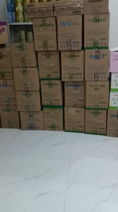 COLOSTRUM GOLD PEDIA PLUS_TRẺ EM(1-12 tuổi)