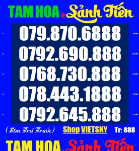 SIM SỐ ĐẸP Lộc Phát 68 List 2933343535a Sim nguyên kít chưa sử dùng Sim Mobifone phủ sóng toàn quốc | simsodep vietsky