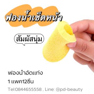 ฟองน้ำเช็ดหน้า ฟองน้ำอัดแท่ง ฟองน้ำสปา ฟองน้ำล้างหน้า ฟองน้ำเช็ดหน้า