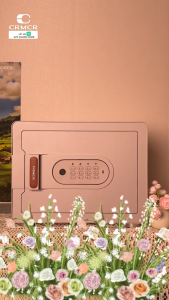 Két Sắt Xiaomi CRMCR Mini Thông Minh 30MS Khóa Vân Tay Điện Tử KT Cao 30 Rộng 40 Sâu 30cm Nặng 20.5KG Kết Nối APP Điện Thoại