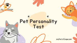 eBook PDF | ENTJ Owner & Every Dog Personality Type: MBTI Guide for Pet Bonding – MyPetVillage