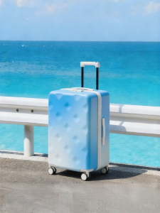 CHEECASE | Large Capacity Gradient Travel Luggage Plus Series
