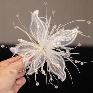 No-Harm Feather Tassel Crystal Hair Clip