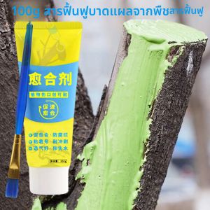 100g ต้นไม้บอนไซตัดวาง Smear Agent Pruning Compound ซีลแปรง Grafting Pruning SEALER Tree Repair Ointment