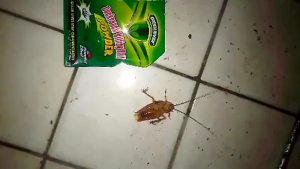 Cockroach Killer Powder Strong Roach & Ant Killer Bait Long Lasting Pest Control for Home Anti Cockroach Roach Nest Powder Odorless Cockroach Killing Bait Roach Killer Poison Food