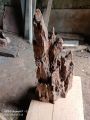 kayu rentek aquascape size S. 