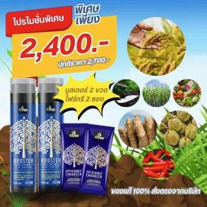 4Tree Booster (โฟร์ทรี 2 ซอง + บูสเตอร์ 2 ขวด) คู่หูพลังดูดซึมไว ทนโรค ทนหนาว ทนแล้ง สำหรับพืชทุกชนิด ไคโตซานประสิทธิภาพสูง ของแท้ 100%
