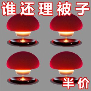 Skin-Friendly No-Trace Detachable Quilt Fixer Reusable Home Use Metal Quilt Holder New Chinese Style DIY Household Organizer