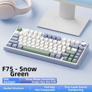 AULA | Customizable Mechanical Keyboard and Mouse Set Wireless