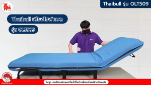 Thaibull โซฟาเบด เตียงโซฟา เตียงเสริมโซฟา ปรับเป็นเตียงนอน Sofa Bed รุ่น OLT509-80 แถมฟรี! หมอน 2 ใบ