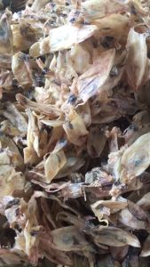 KHÔ MỰC CHUỐI(MỰC BỌT) - 1kg/ 500gram/ 250gram ĐẶC SẢN VỰA KHÔ TÚ SƯƠNG CÀ MAU