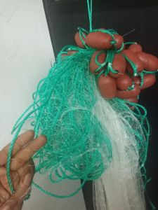 Coastal trawl net trawl net trawl net that is ready