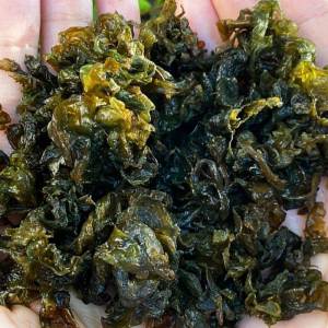 Wild Natural Ready-to-use Moss