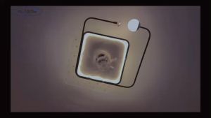 Quạt Đèn Ốp Trần Xoay 360 độ có điều khiển từ xa bảo hành chính hãng