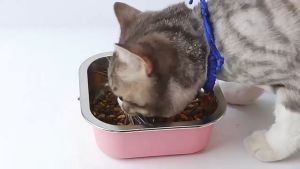 ชามสัตว์เลี้ยง สเเตนเลส ทรงสี่เหลี่ยม ใช้ได้ทั้งหมาและแมว