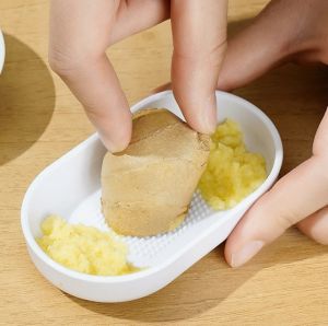 เครื่องขูดวาซาบิสำหรับที่ขูดขิง2ชิ้นเครื่องบดกระเทียมอเนกประสงค์อุปกรณ์ที่ลับขิงผักรากผลไม้ในครัว