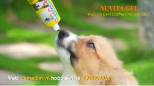 NUVITA GEL - Gel dinh dưỡng bổ sung vitamin khoáng cho chó mèo - 120gr