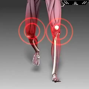 Kem bôi hết đau nhức xương khớp trên toàn cơ thể mang lại sự dẻo daisưng đau Nhức Khớp