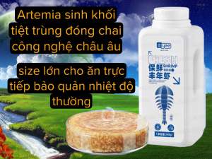 Artemia thanh trùng - Artemia sinh khối giàu chất dinh dưỡng dành cho cá trưởng thành và phát triển