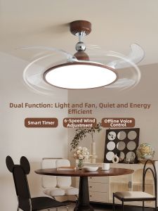DGY | Ceiling Fan Light