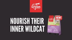 Orijen Kitten Formula Grain Free Cat Food 1.8KG