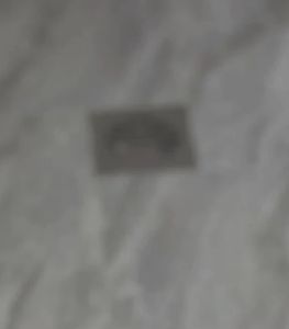 Universal Floor Drain Core Deodorant and Insect-Proof Drainage Filter Sewer Pipe Anti-Odor Filter Plug